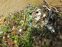 12.08.2012 14:27:45
12.08.2012
Rumänien 2012
Rumänien
Galerie