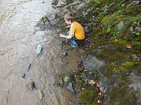 12.08.2012 14:58:32
12.08.2012
Rumänien 2012
Rumänien
Galerie