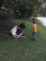 12.08.2012 15:04:12
12.08.2012
Rumänien 2012
Rumänien
Galerie
