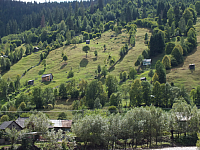 12.08.2012 15:23:17
12.08.2012
Rumänien 2012
Rumänien
Galerie