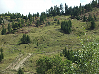 12.08.2012 14:33:38
12.08.2012
Rumänien 2012
Rumänien
Galerie