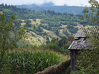 12.08.2012 14:55:51
12.08.2012
Rumänien 2012
Rumänien
Galerie