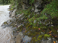 12.08.2012 14:58:08
12.08.2012
Rumänien 2012
Rumänien
Galerie