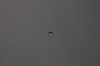 10.09.2014 15:51:33
Der Habichtweg bei Eicherloh
Garchinger Umland
Garching
Galerie