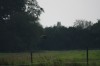10.09.2014 15:55:05
Der Habichtweg bei Eicherloh
Garchinger Umland
Garching
Galerie