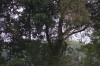 10.09.2014 16:25:48
Der Habichtweg bei Eicherloh
Garchinger Umland
Garching
Galerie